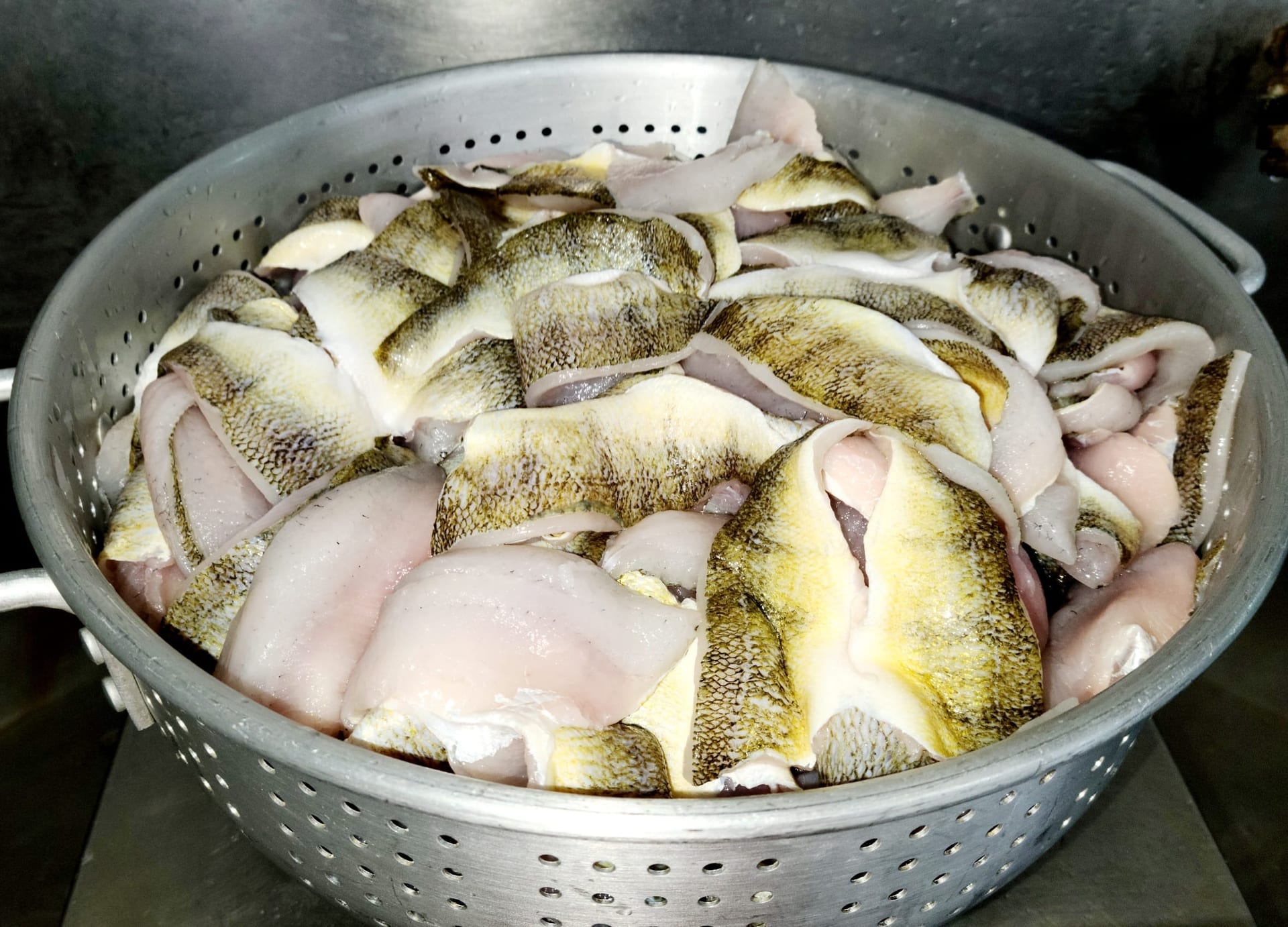 Fresh yellow perch fillets