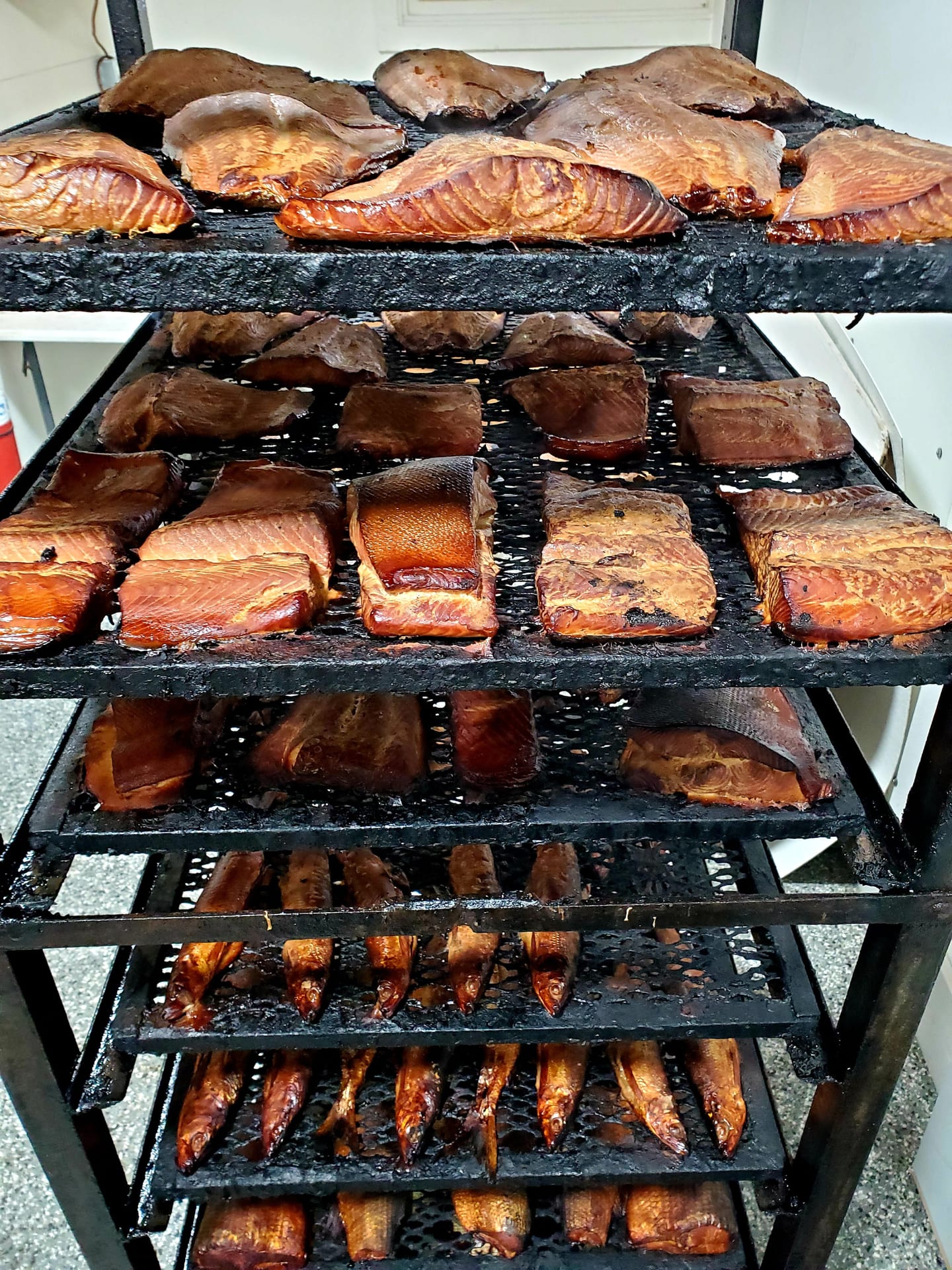 Smoked fish done and fresh out of the smoker