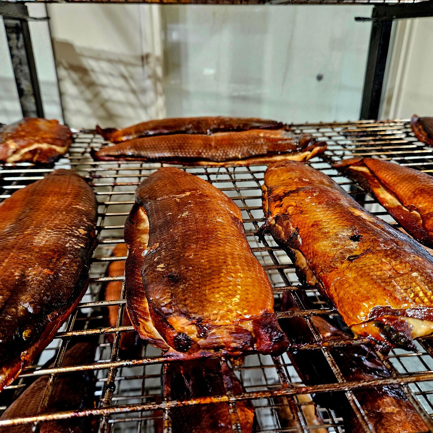 Smoked whitefish from our new Pro Smoker. Our best seller! Caught, cleaned, and smoked by us!
