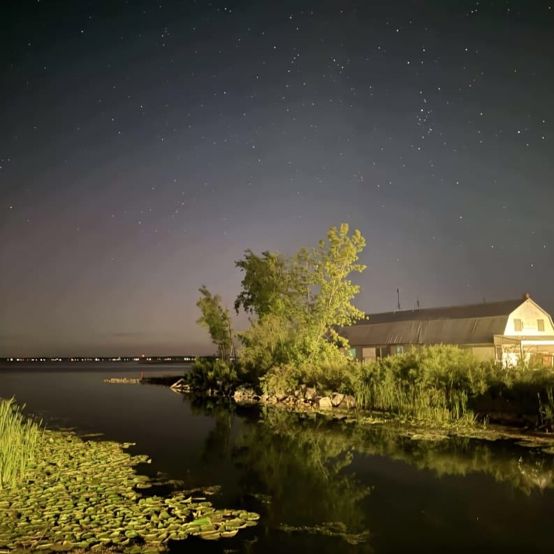 Nighttime photo from Bay Port Fish Company.