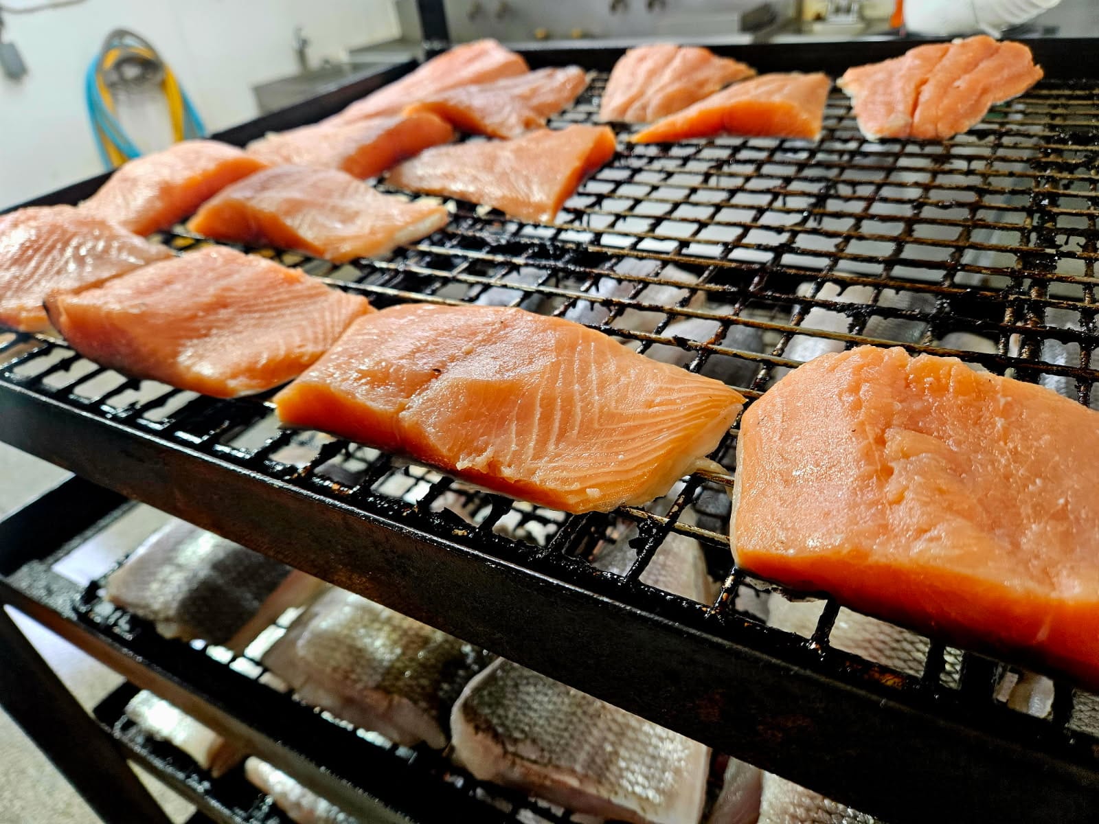 Raw salmon fillets ready for brining and smoking.